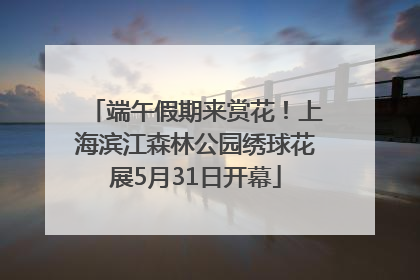 端午假期来赏花！上海滨江森林公园绣球花展5月31日开幕