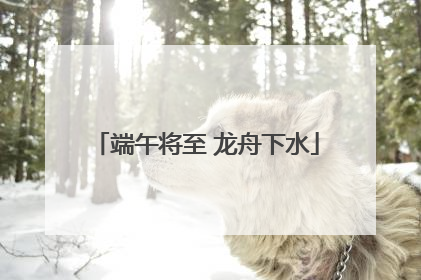 端午将至 龙舟下水