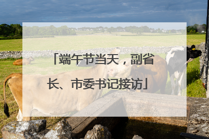端午节当天，副省长、市委书记接访