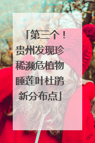 第三个！贵州发现珍稀濒危植物睡莲叶杜鹃新分布点