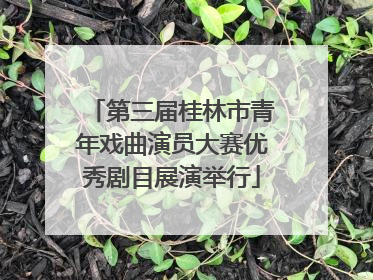 第三届桂林市青年戏曲演员大赛优秀剧目展演举行