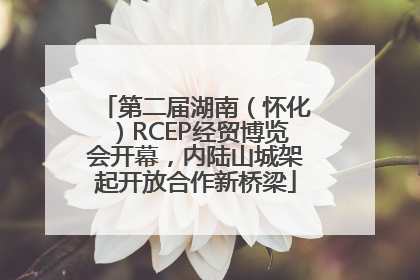第二届湖南（怀化）RCEP经贸博览会开幕，内陆山城架起开放合作新桥梁