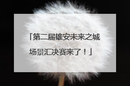 第二届雄安未来之城场景汇决赛来了！