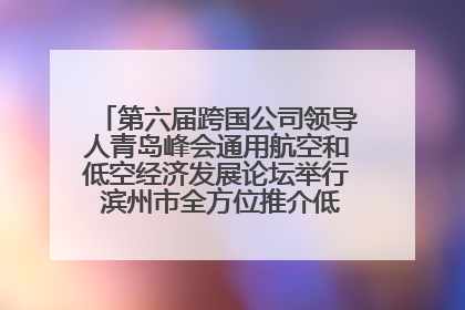 第六届跨国公司领导人青岛峰会通用航空和低空经济发展论坛举行 滨州市全方位推介低空经济发展优势