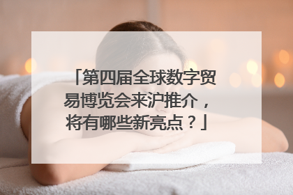 第四届全球数字贸易博览会来沪推介，将有哪些新亮点？