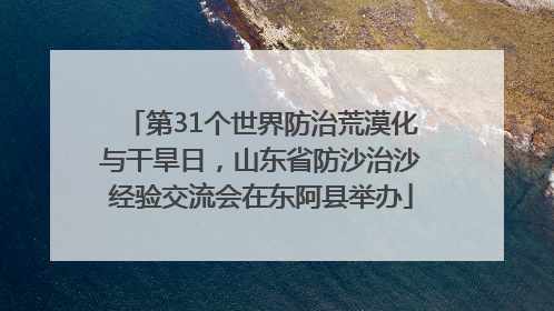 第31个世界防治荒漠化与干旱日，山东省防沙治沙经验交流会在东阿县举办