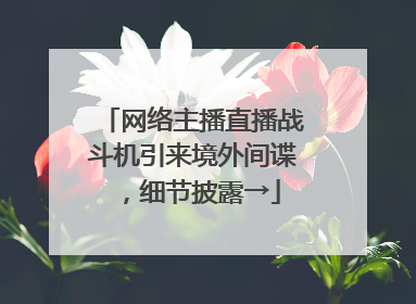 网络主播直播战斗机引来境外间谍，细节披露→