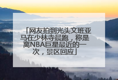 网友拍到光头文班亚马在少林寺晨跑，称是离NBA巨星最近的一次，景区回应