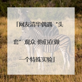 网友清华偶遇“头套”观众 他们在做一个特殊实验