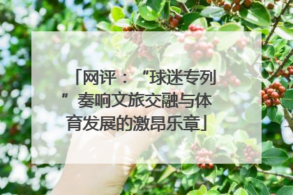 网评：“球迷专列”奏响文旅交融与体育发展的激昂乐章