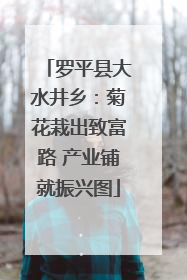 罗平县大水井乡：菊花栽出致富路 产业铺就振兴图