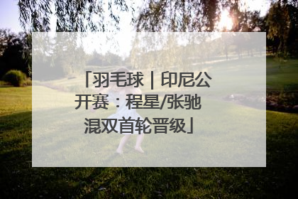羽毛球｜印尼公开赛：程星/张驰混双首轮晋级