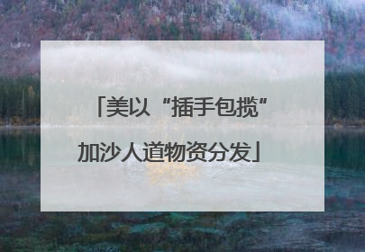 美以“插手包揽”加沙人道物资分发