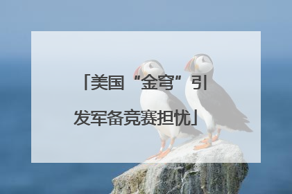 美国“金穹”引发军备竞赛担忧