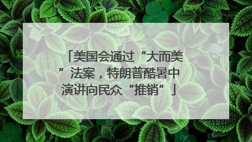 美国会通过“大而美”法案，特朗普酷暑中演讲向民众“推销”