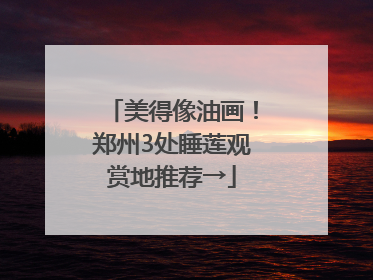 美得像油画！郑州3处睡莲观赏地推荐→