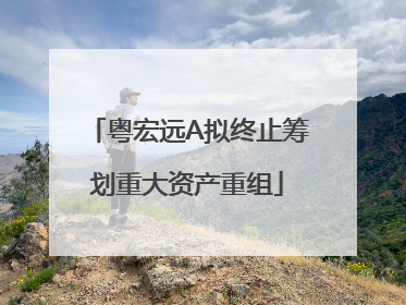 粤宏远A拟终止筹划重大资产重组