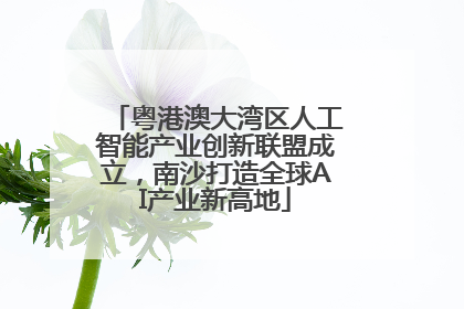粤港澳大湾区人工智能产业创新联盟成立，南沙打造全球AI产业新高地