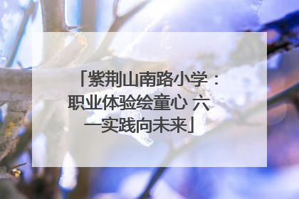 紫荆山南路小学：职业体验绘童心 六一实践向未来