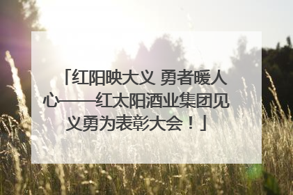 红阳映大义 勇者暖人心——红太阳酒业集团见义勇为表彰大会！