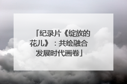 纪录片《绽放的花儿》：共绘融合发展时代画卷