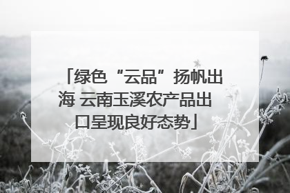 绿色“云品”扬帆出海 云南玉溪农产品出口呈现良好态势