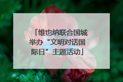 维也纳联合国城举办“文明对话国际日”主题活动