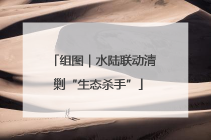 组图｜水陆联动清剿“生态杀手”