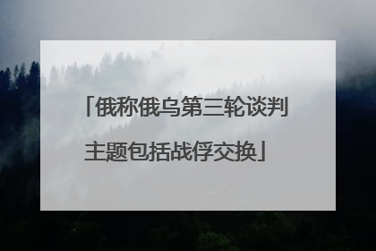 俄称俄乌第三轮谈判主题包括战俘交换