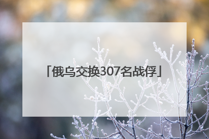 俄乌交换307名战俘