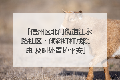 信州区北门街道江永路社区：倾斜灯杆成隐患 及时处置护平安