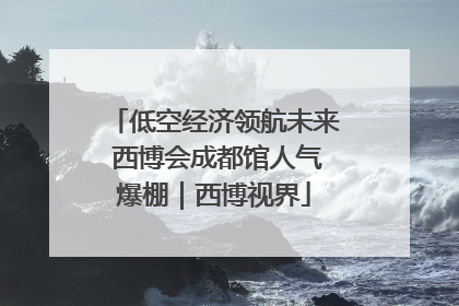 低空经济领航未来 西博会成都馆人气爆棚｜西博视界