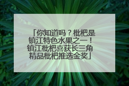 你知道吗？枇杷是镇江特色水果之一！镇江枇杷喜获长三角精品枇杷推选金奖