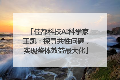 佳都科技AI科学家王凯：探寻共性问题，实现整体效益最大化
