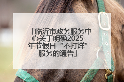 临沂市政务服务中心关于明确2025年节假日“不打烊”服务的通告