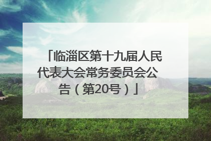 临淄区第十九届人民代表大会常务委员会公告（第20号）