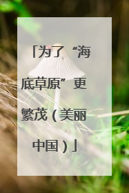 为了“海底草原”更繁茂（美丽中国）
