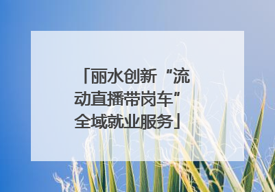 丽水创新“流动直播带岗车”全域就业服务