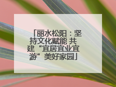 丽水松阳：坚持文化赋能 共建“宜居宜业宜游”美好家园