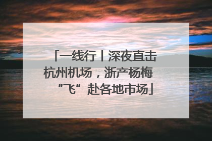 一线行丨深夜直击杭州机场，浙产杨梅“飞”赴各地市场