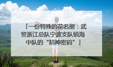 一份特殊的花名册：武警浙江总队宁波支队镇海中队的“精神密码”