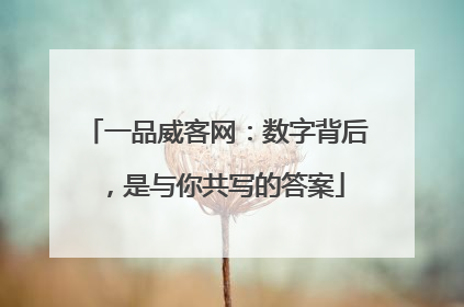 一品威客网：数字背后，是与你共写的答案