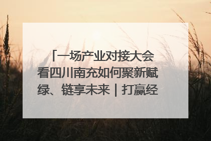 一场产业对接大会 看四川南充如何聚新赋绿、链享未来｜打赢经济发展翻身仗