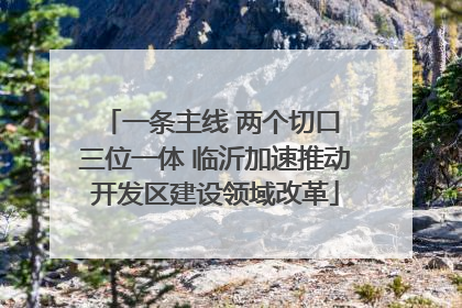 一条主线 两个切口 三位一体 临沂加速推动开发区建设领域改革