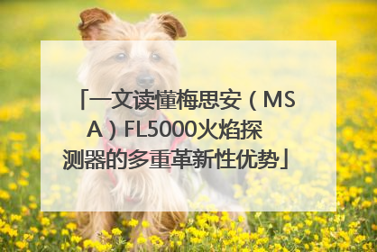 一文读懂梅思安（MSA）FL5000火焰探测器的多重革新性优势