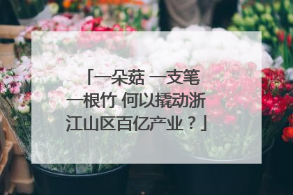 一朵菇 一支笔 一根竹 何以撬动浙江山区百亿产业？