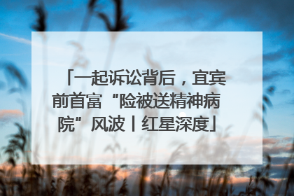 一起诉讼背后，宜宾前首富“险被送精神病院”风波丨红星深度