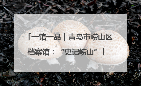 一馆一品｜青岛市崂山区档案馆：“史记崂山”