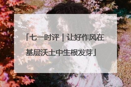 七一时评｜让好作风在基层沃土中生根发芽