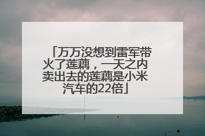 万万没想到雷军带火了莲藕，一天之内卖出去的莲藕是小米汽车的22倍